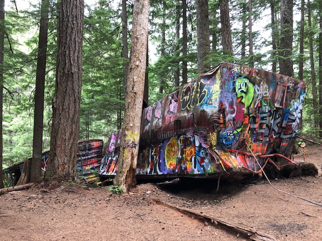 Old Graffiti Forest