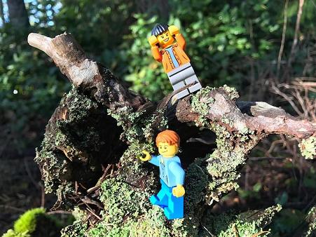 LEGO® MiniFigs in the Forest