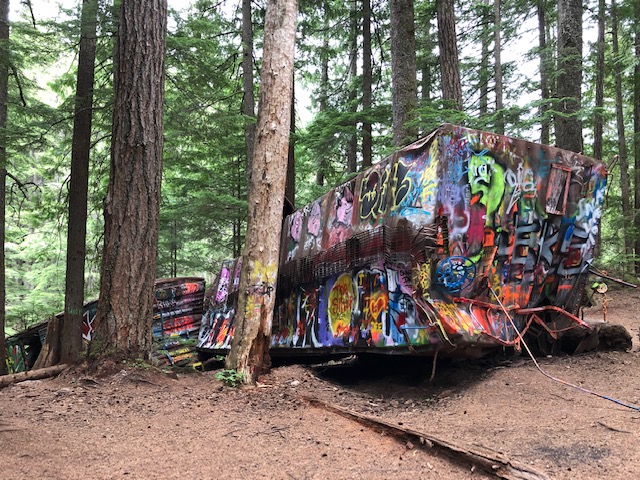 Old Graffiti Forest Old Graffiti Forest