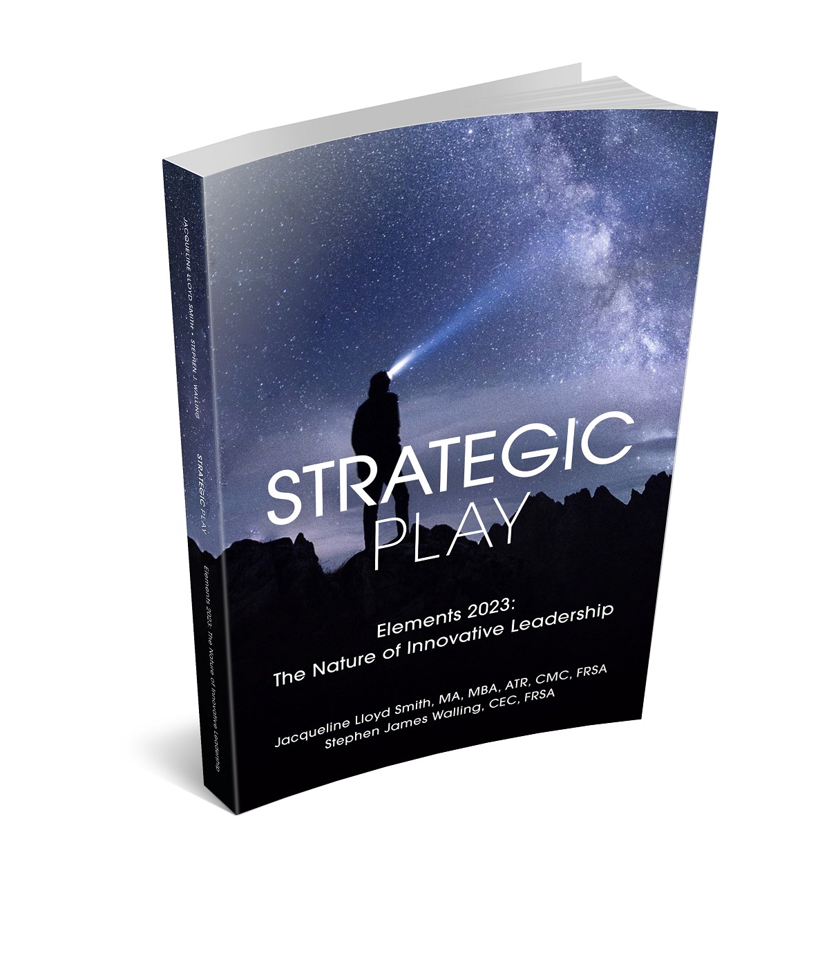 wzw-strategic-play-elements